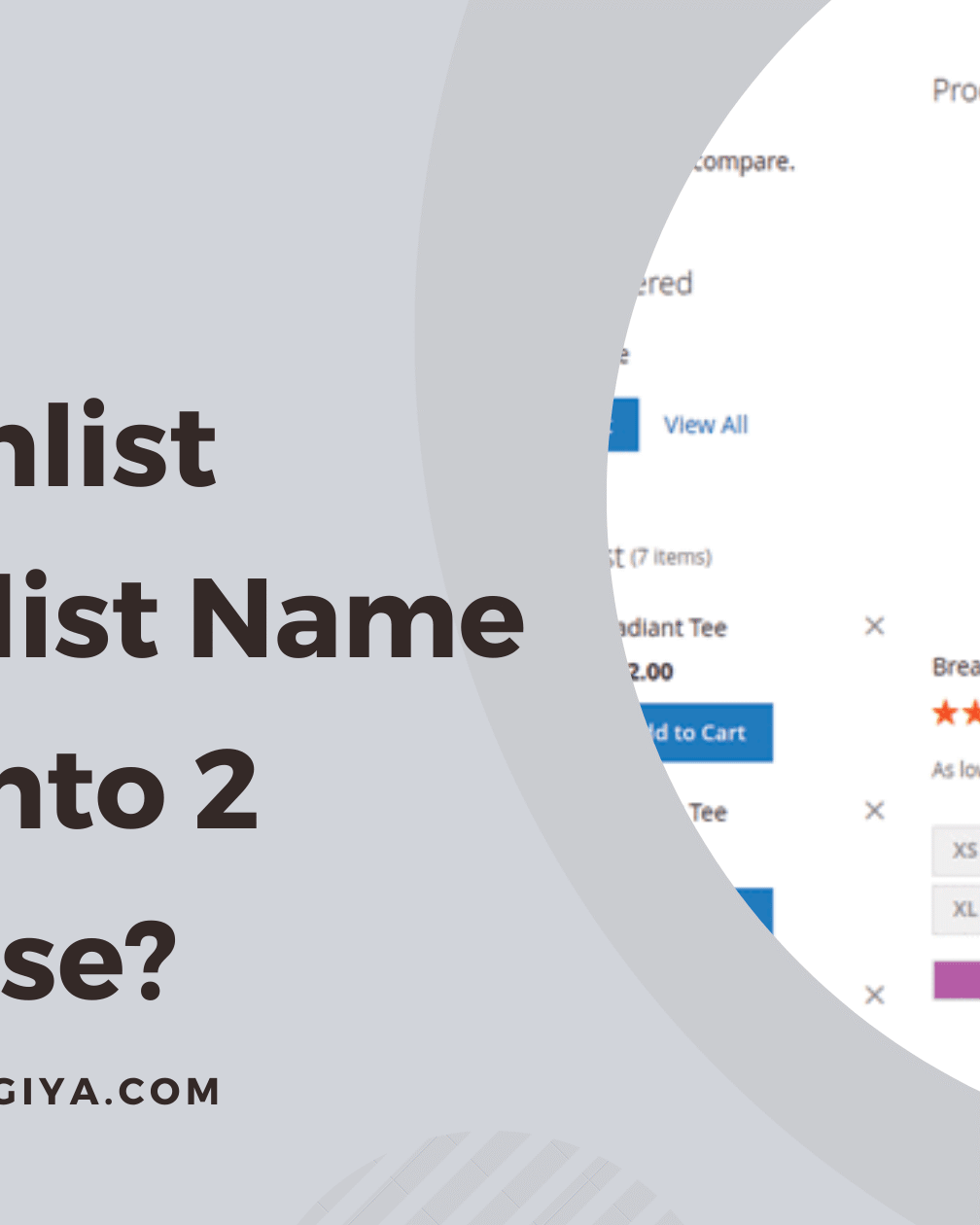 Get Wishlist by Name in Magento 2 Enterprise