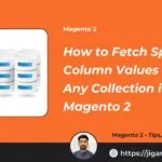 How to Fetch Specific Column Values from Any Collection in Magento 2