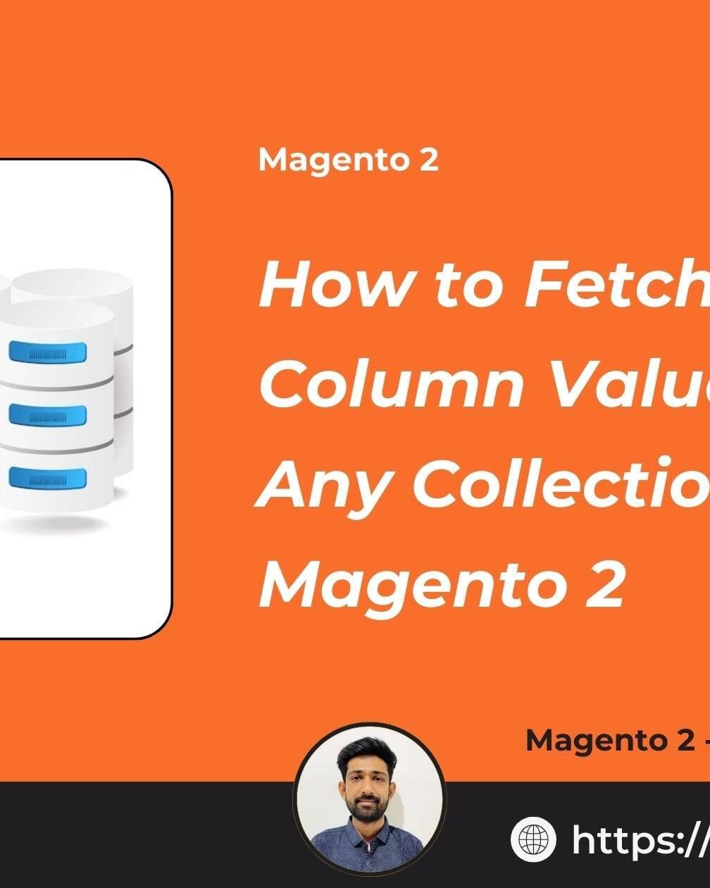 How to Fetch Specific Column Values from Any Collection in Magento 2