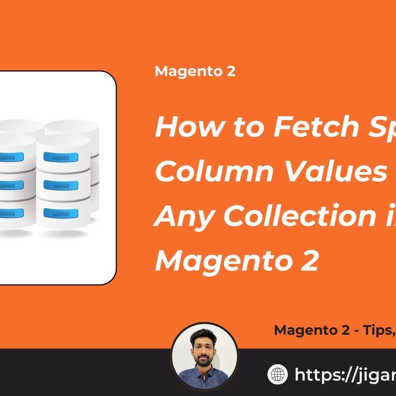 How to Fetch Specific Column Values from Any Collection in Magento 2
