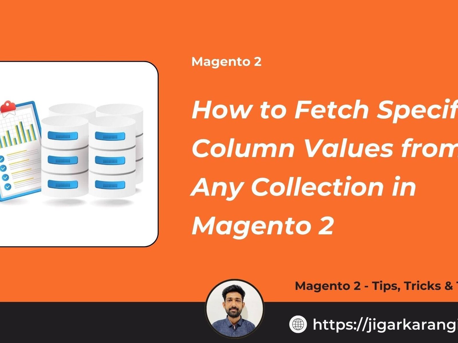 How to Fetch Specific Column Values from Any Collection in Magento 2