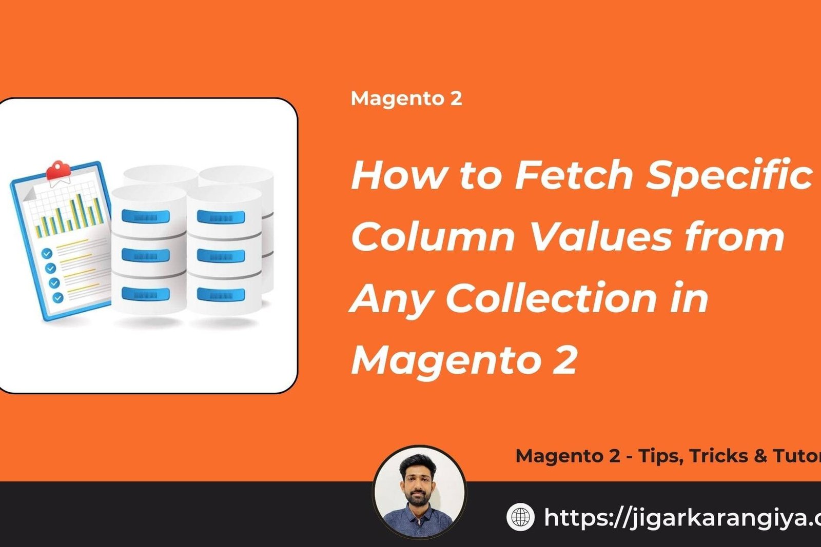 How to Fetch Specific Column Values from Any Collection in Magento 2
